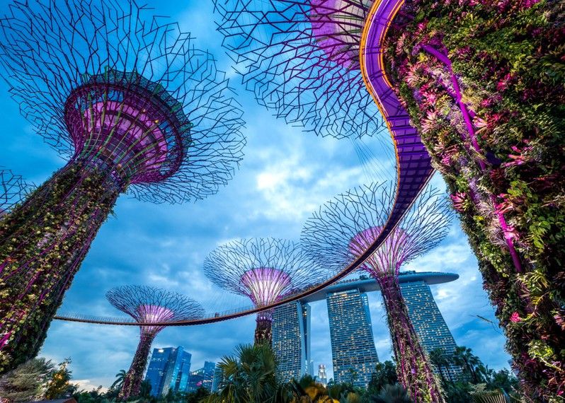 gardens-by-the-bay-singaporeckanumanshutterstock-941